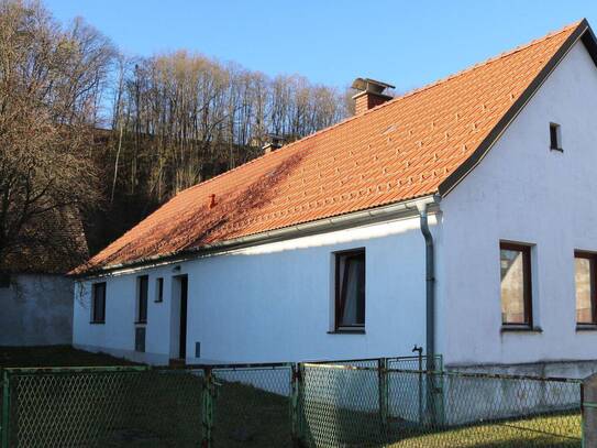 Haus mit toller Raumaufteilung und sehr schönem Garten!