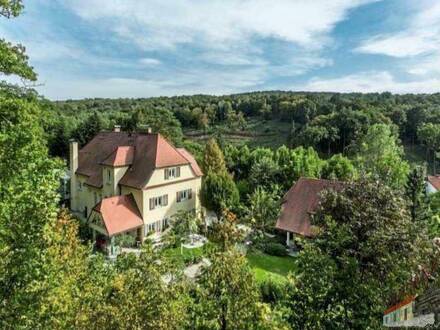 A DREAM BECOMES TRUE !! Beautiful luxury area for nature lovers with villa and outbuildings
