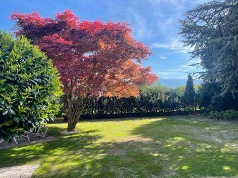 Einfamilienhaus mit wunderschönem Garten