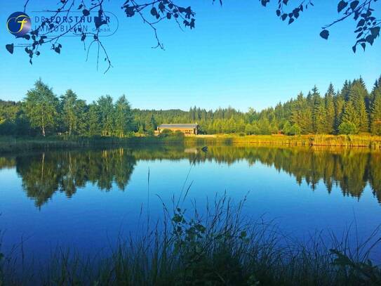 RARITÄT - SEEHAUS IN EINZELLAGE - EIN TRAUM FÜR ANGLER UND NATURLIEBHABER!