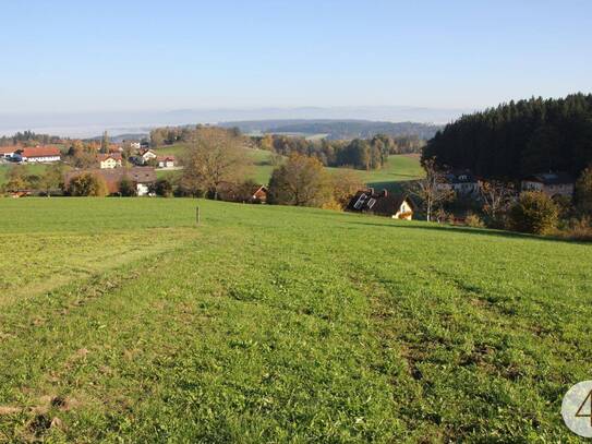 15,7 ha landwirtschaftliche Nutzfläche! Arrondiert!