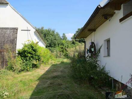 Großes Grundstück mit Weinkeller, Scheune und Gartenhaus