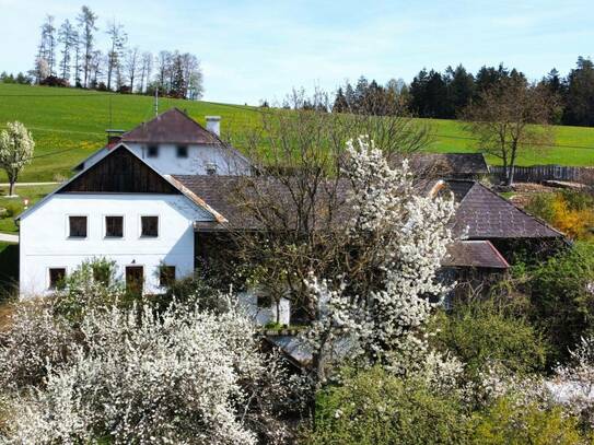 Zuhause im Sacherl - fernab vom Trubel