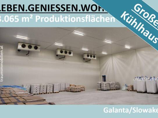 3.065 M2 PRODUKTIONSFLÄCHEN MIT GROSSEM KÜHLHAUS