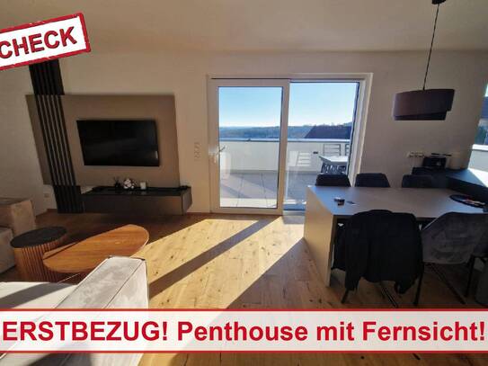 Hochwertige Penthouse-Maisonette mit Dachterrasse und Garten in Birchbaum/Weiz! Sackgassenlage!