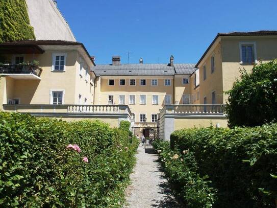 Palais Trapp - mitten im Zentrum 2 Räume zur Vermietung als Büro