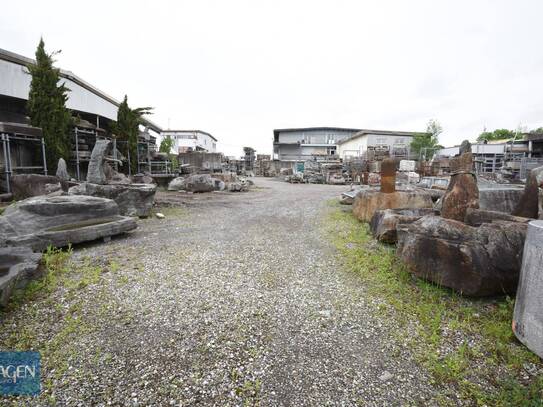 Brugger Park - Große Freifläche mit ca. 1.200 m² zu pachten - Lustenau!