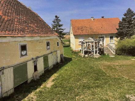 Fehring- Brunn! Landwirtschaft, Bach, Teich möglich, Bauernhaus, hohen Sanierungsbedarf, Pferde- bzw. Viehhaltung, Grun…