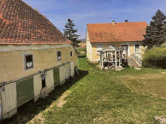 Fehring- Brunn! Landwirtschaft, Bach, Teich möglich, Bauernhaus, hohen Sanierungsbedarf, Pferde- bzw. Viehhaltung, Grun…