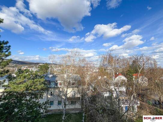 Dachgeschosswohnung mit Ausblick