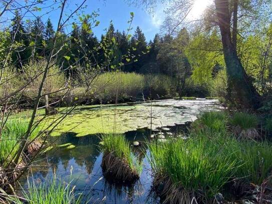 NATURJUWEL - FAAKER SEE 13,5 ha