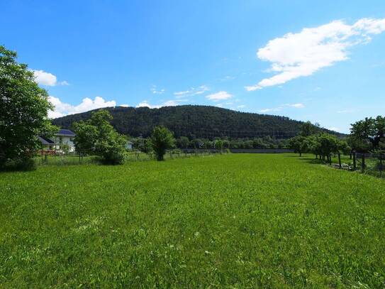 Preisreduktion! Sonniger Baugrund mit Altbestand in Kleinstübing