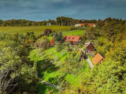 ALLEINLAGE OTTENBERG