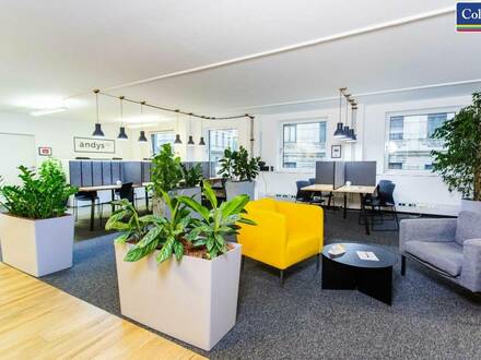 Flexible Workspaces in der Gumpendorferstraße | andys.cc | provisionsfrei