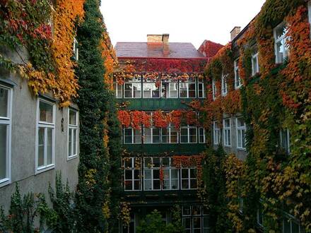 „Mitten im Achten“ - Eine absolute Rarität: Ihre kleine Oase in einem herrlichen Pawlatschen-Altbau!