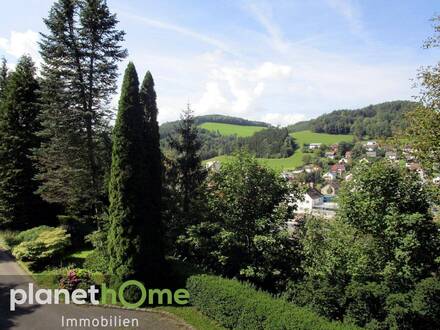 Keine Nachbarn - Aussichtslage und großer Grund - Landhaus in der Buckligen Welt