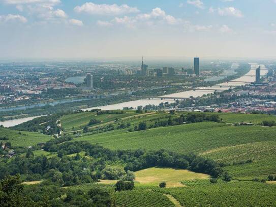 Luxus-Penthouse inmitten der Vienna Hills - traumhaftes Stadtpanorama