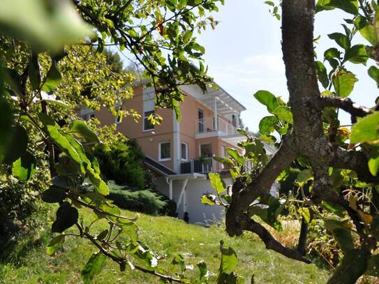 Einfamilienhaus mit Swimmingpool - sensationelle Aussicht