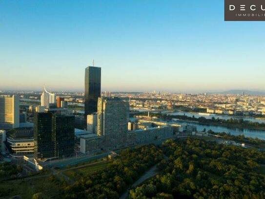 + + + SATURN TOWER + + + TOP BÜROS und GASTRO + + IN DER DONAU CITY + + +