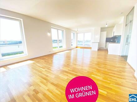 Seepanorama in Fels am Wagram: Naturnahes Wohnen mit eigenem Seezugang