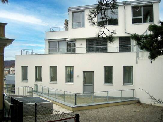 Arbeiten & Wohnen mit großzügiger Terrasse in Ruhelage