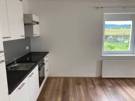 *PROVISIONSFREI* - Lichtdurchflutete Gartenwohnung im Unterkärntner Seengebiet