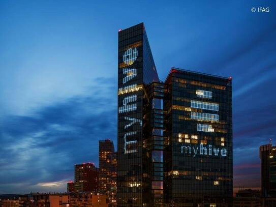 myhive Office Lösungen - flexible Büroflächen zu mieten in 1100 Wien