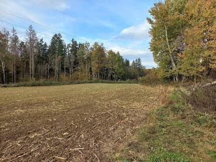 Landwirtschaftliche Fläche