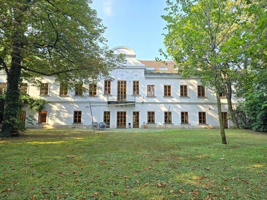 Das Geheimnis des Erfolges - Landhaus mit Park