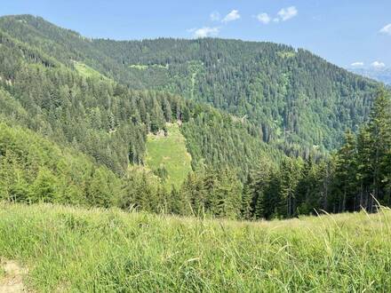 120 ha Forstbesitz mit Rotwildjagd in Bruck - Kapfenberg