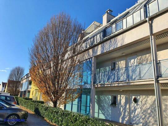 Maisonette im Seepark – 4 Zimmer - Dachterrasse - Parkplatz