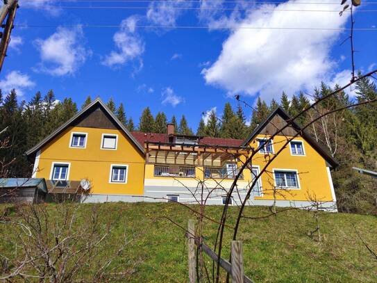 Doppeltes Glück im DREILÄNDERECK Steiermark-Kärnten-Slowenien auf 11.321 m² Grund in Seenähe