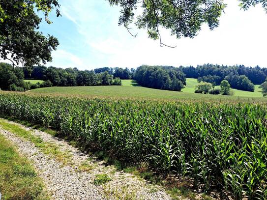 ACKER FAHRAFELD - ZUM VERKAUF