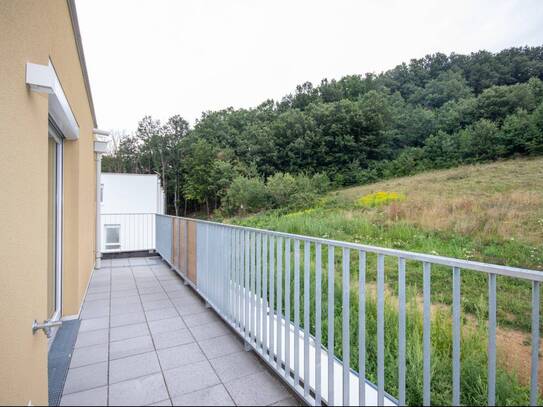 ERSTBEZUG: schöne Dachterrassenwohnung mit Garage