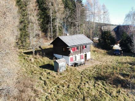 Almhütte in der Gemeinde Albeck/Sirnitz - Widmung "Hofstelle"