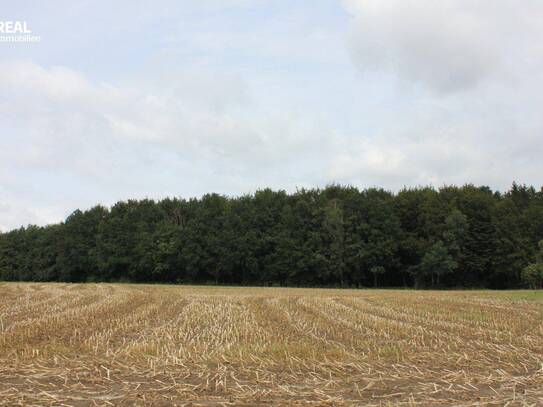 Landwirtschaftlich genutzte Grundstücke in 3300 Amstetten!!!