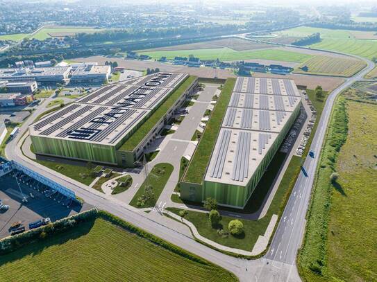 Panattoni Park Ennshafen - Halle 4