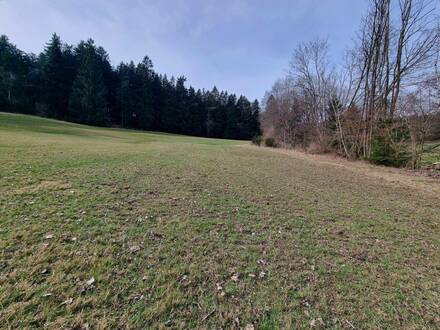 Landwirtschaftliche Nutzfläche knapp ein Hektar - mit kleinem Waldanteil