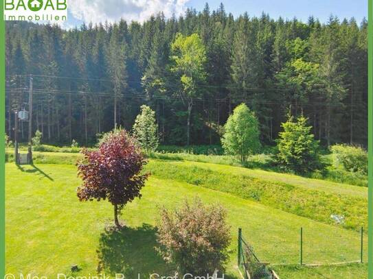 GEMÜTLICHE OBERGESCHOSSWOHNUNG INMITTEN DER NATUR