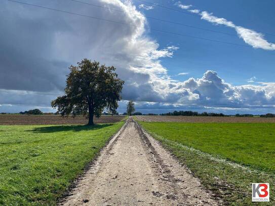 K3 - Nähe Bad Füssing - alter 4 - Seitenhof mit ca. 15 ha bestem ertragreichen Ackerboden!!! PANORAMALAGE