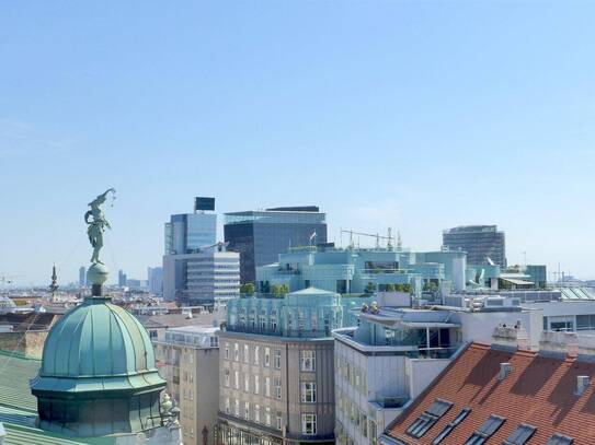 Großzügige Dachterrassenmaisonette Nähe Lugeck - große Terrassen mit atemberaubenden Fernblick