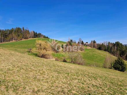 Landwirtschaft in herrlicher Alleinlage nur wenige Fahrminuten von der Lipizzanerheimat Köflach entfernt