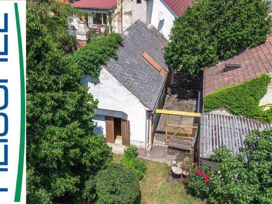 Weinhauerhaus nahe Schloss Gumpoldskirchen-Einzigartige gewerbliche Möglichkeiten