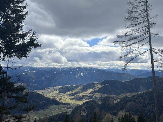 7,7 ha Forst / Wald als solide Geldanlage