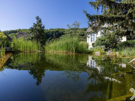 Erleben Sie den Charme und die Eleganz einer historischen Villa in Weidling