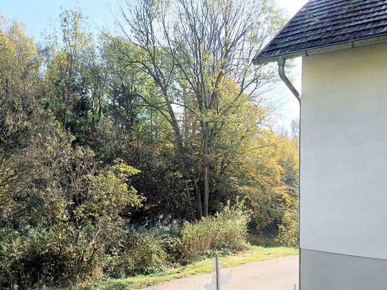 ALLEINLAGE - NATUR PUR Landhaus-Ferienhaus in Ruhelage mit Nebengebäude