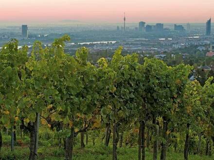 WUNDERSCHÖNER HEURIGER MIT ca. 6.500 m² WEINGARTEN MIT BLICK AUF GANZ WIEN