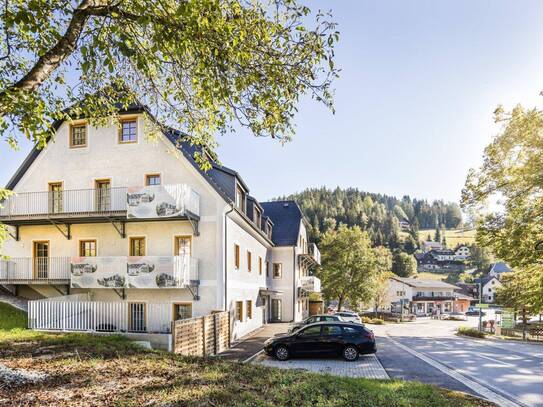 Neue und helle Mietwohnung im Grünnen in St. Kathrein Am Hauenstein