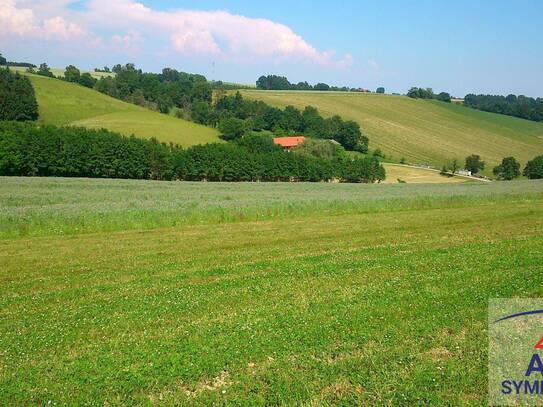 Landwirtschaftliche Flächen in Jois zu verkaufen!