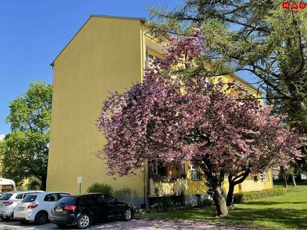 Wohn(t)raum saniert! Großer Balkon, 2. Stock mit Lift und Parkplatz